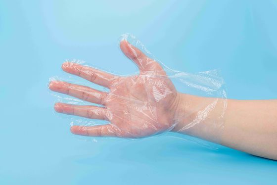 Non Toxic Disposable Transparent LDPE / HDPE Gloves Odorless For Food Preparation
