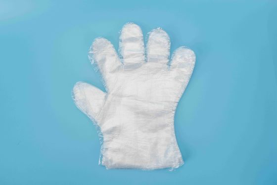 Food-Contact Directly Disposable Use PE Gloves Waterproof Free Size Plastic Gloves
